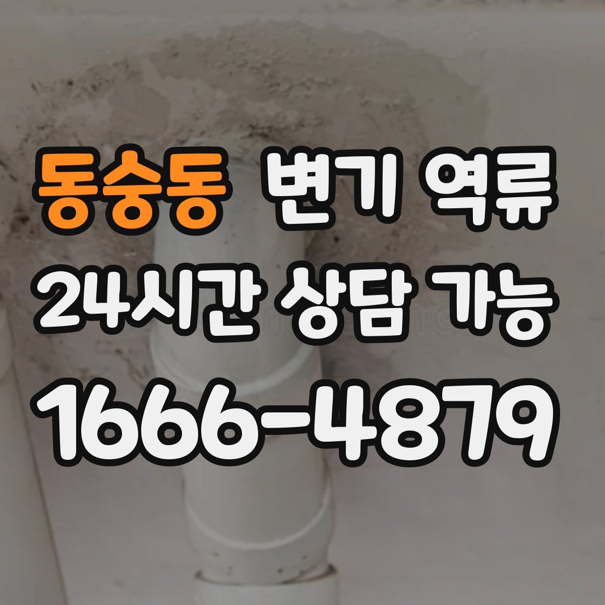 동숭동 변기 역류