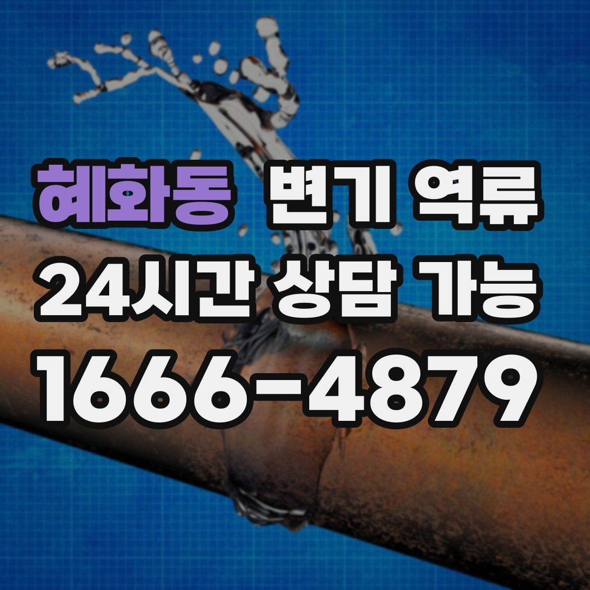 혜화동 변기 역류 오래 비운 집에서 갑자기 생길 수 있는 이유