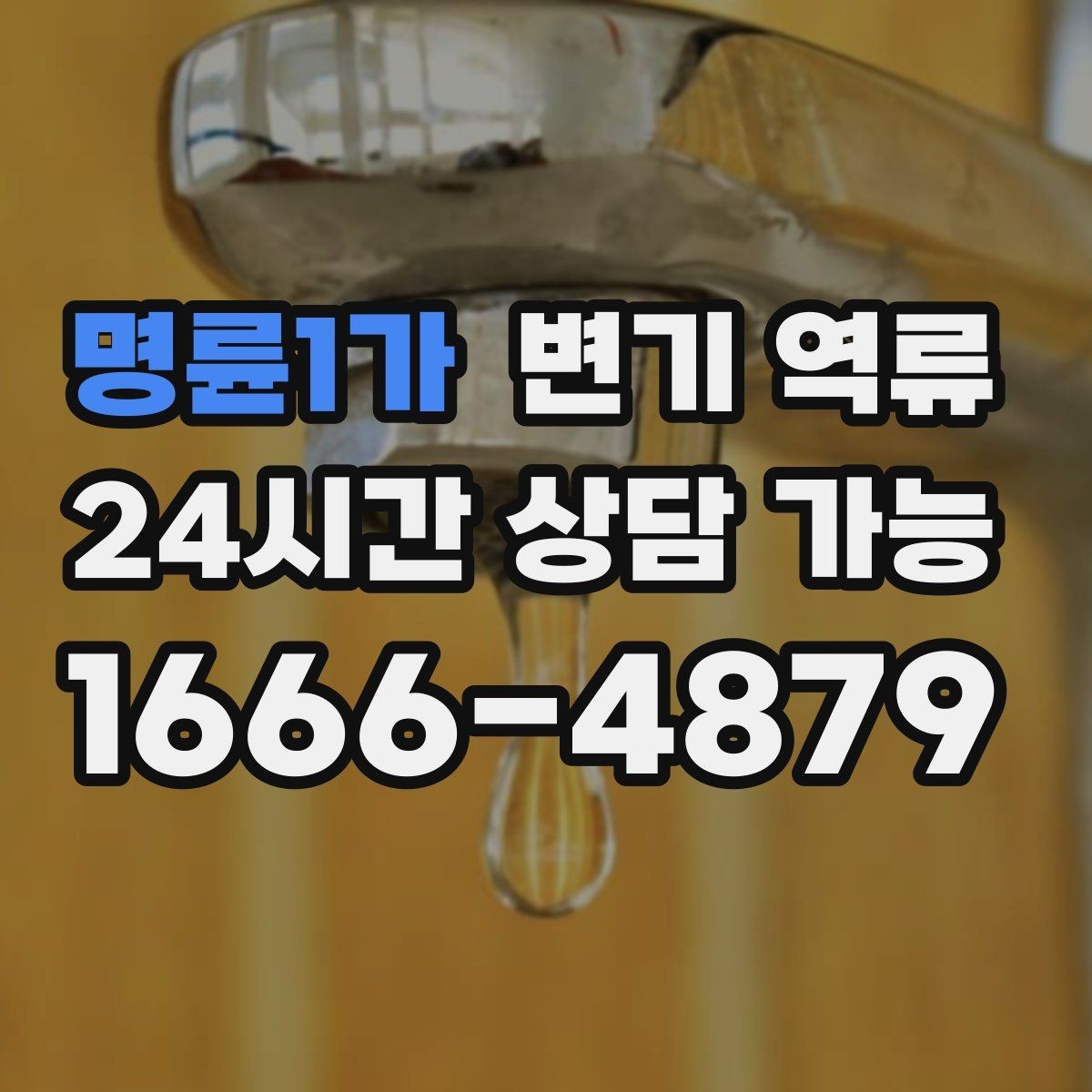 명륜1가 변기 역류 실리콘 라인으로 오염이 번질 수 있는 이유