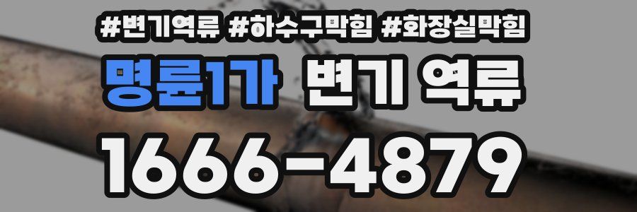 명륜1가 변기 역류