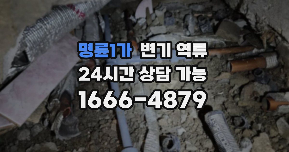 명륜1가 변기 역류