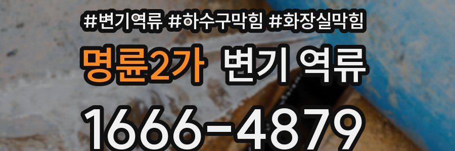 명륜2가 변기 역류