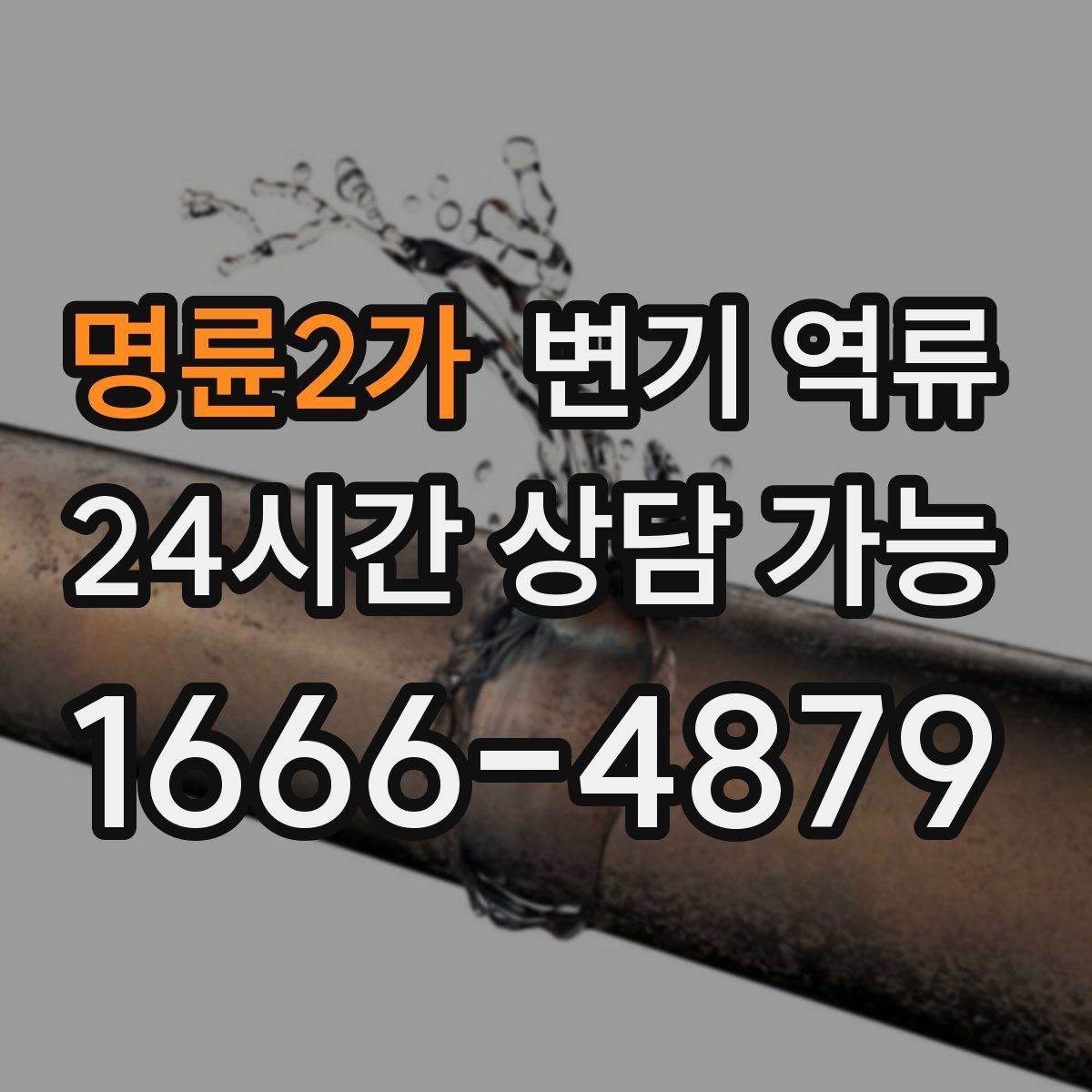 명륜2가 변기 역류