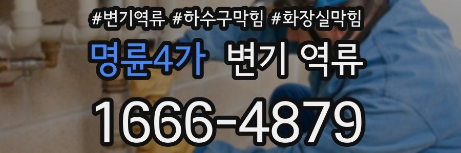 명륜4가 변기 역류