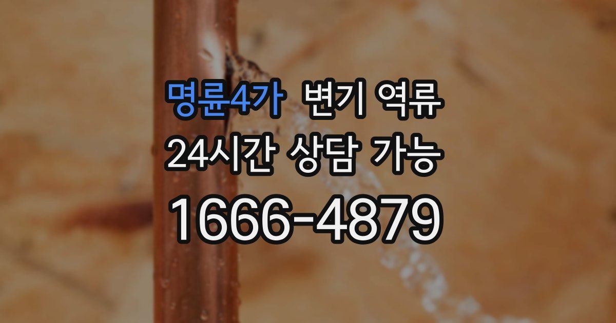 명륜4가 변기 역류