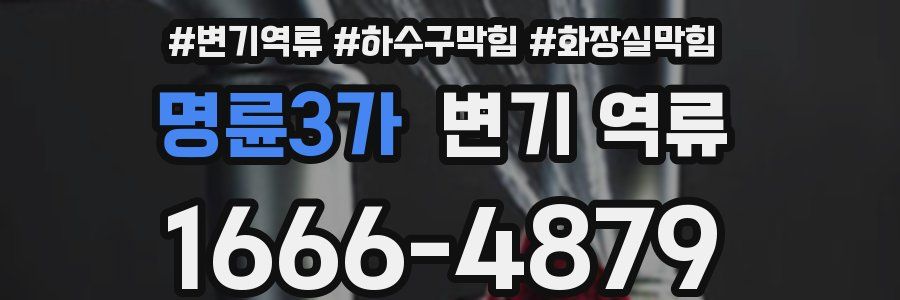 명륜3가 변기 역류