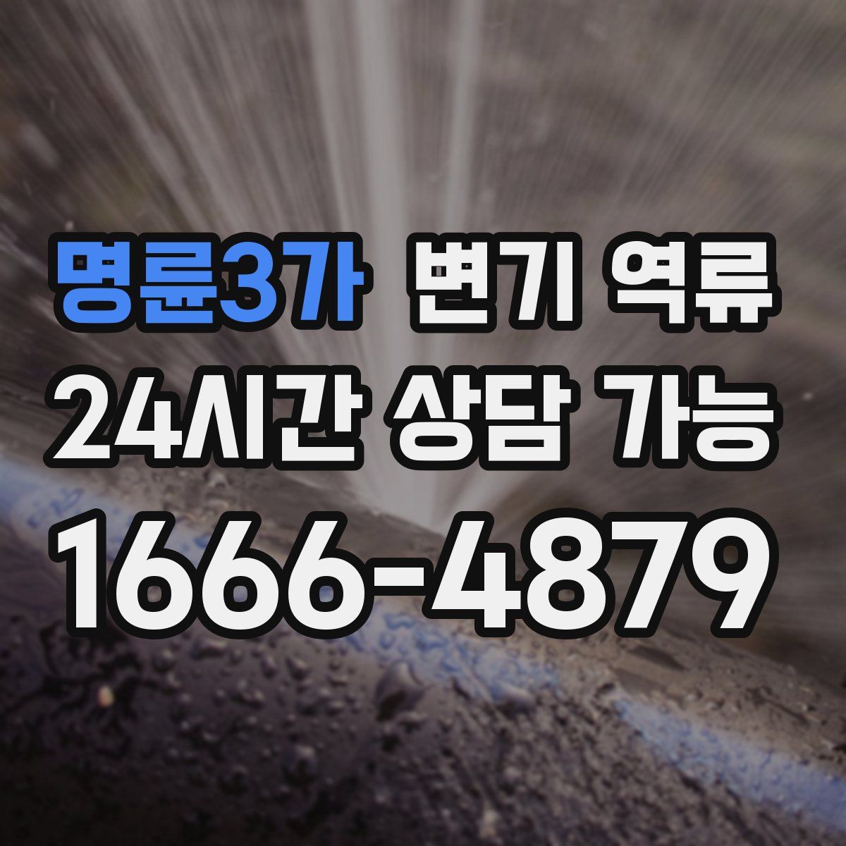 명륜3가 변기 역류