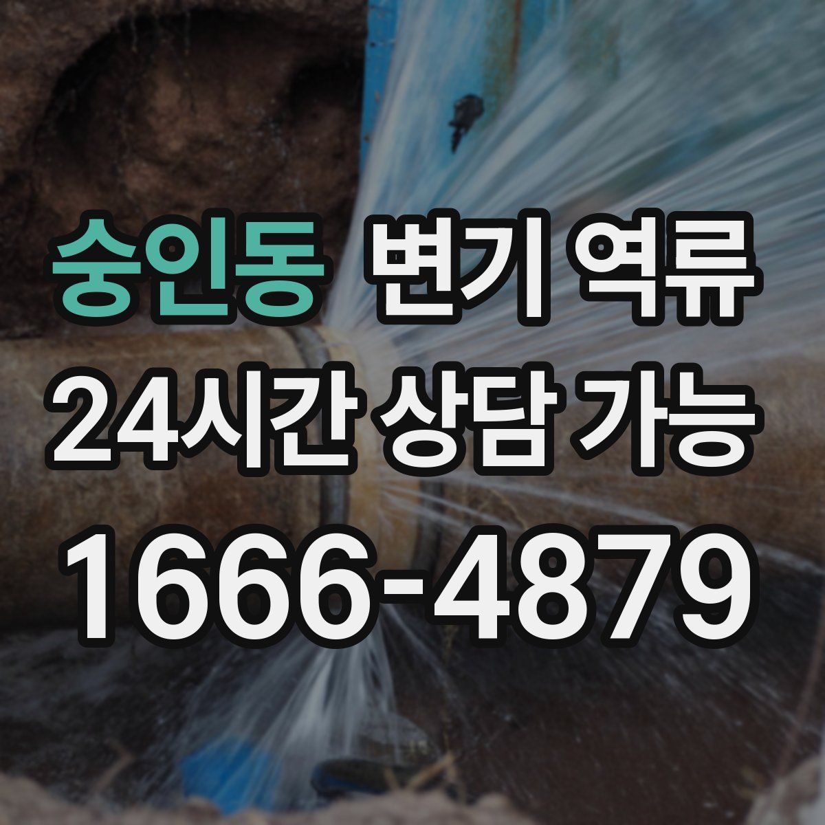 숭인동 변기 역류