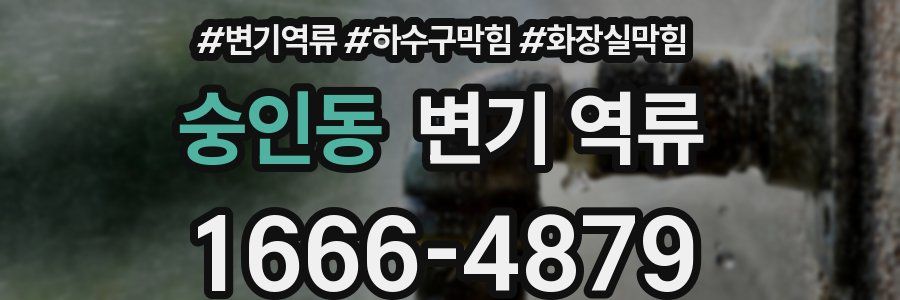 숭인동 변기 역류