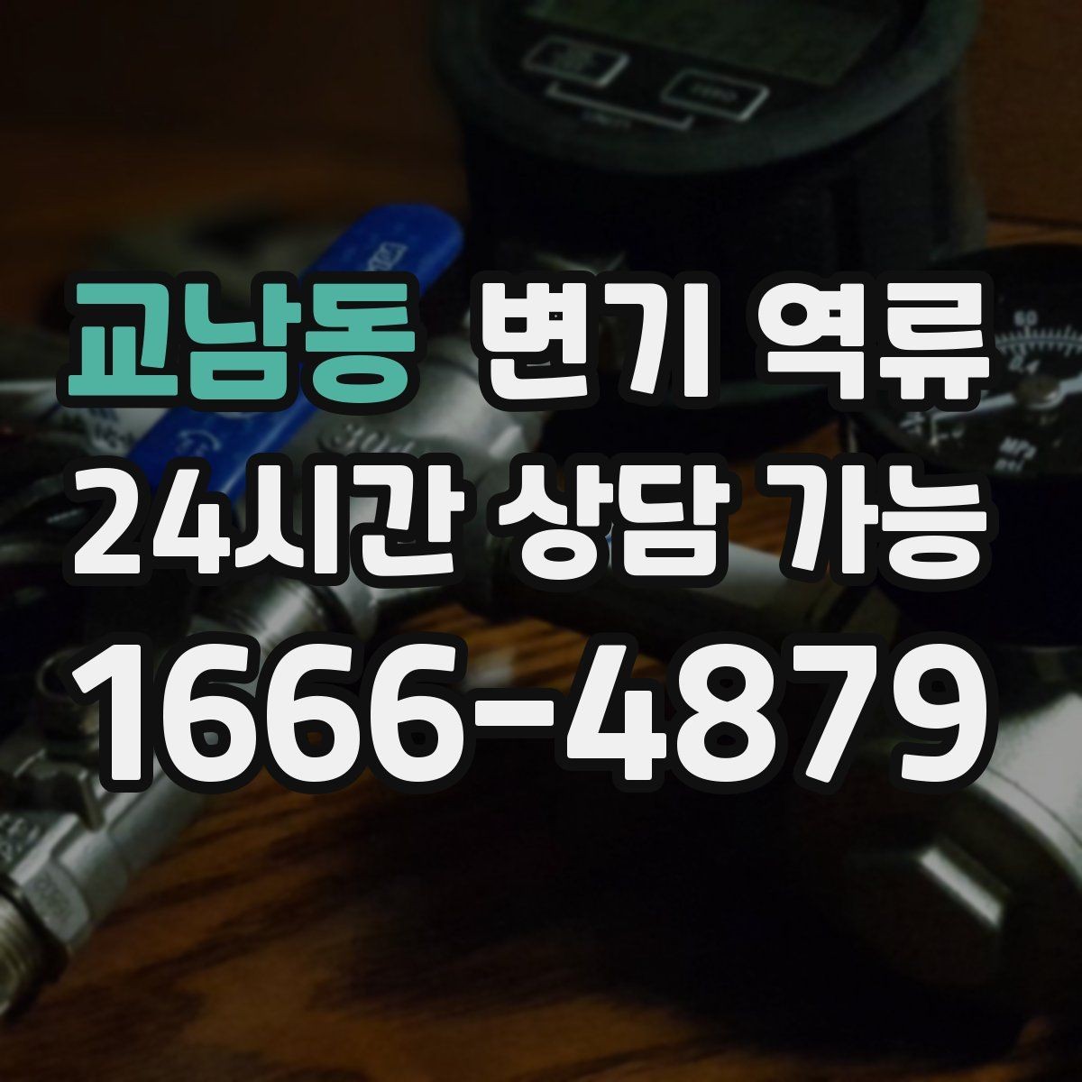 교남동 변기 역류 음식점 화장실에서 생기는 막힘 역류가 생기는 이유