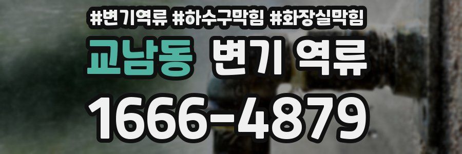 교남동 변기 역류