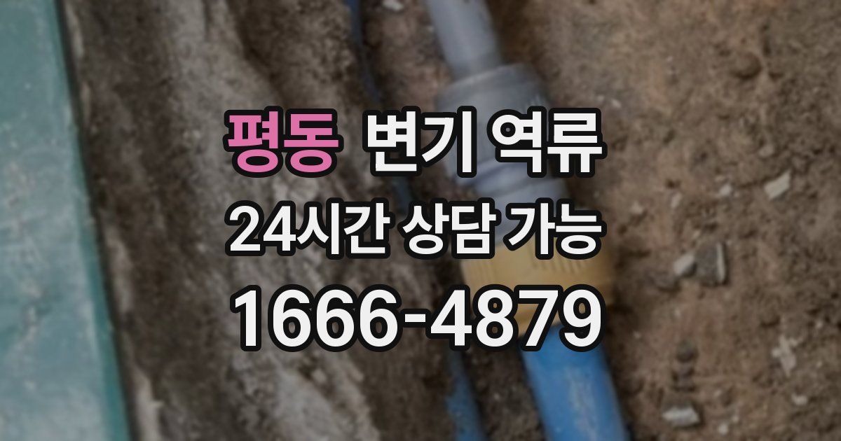 평동 변기 역류