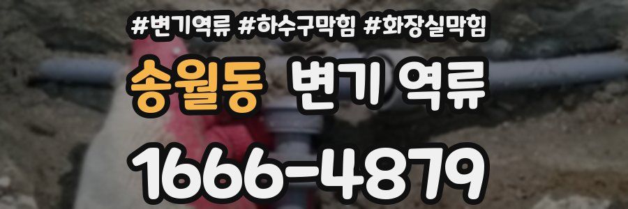 송월동 변기 역류