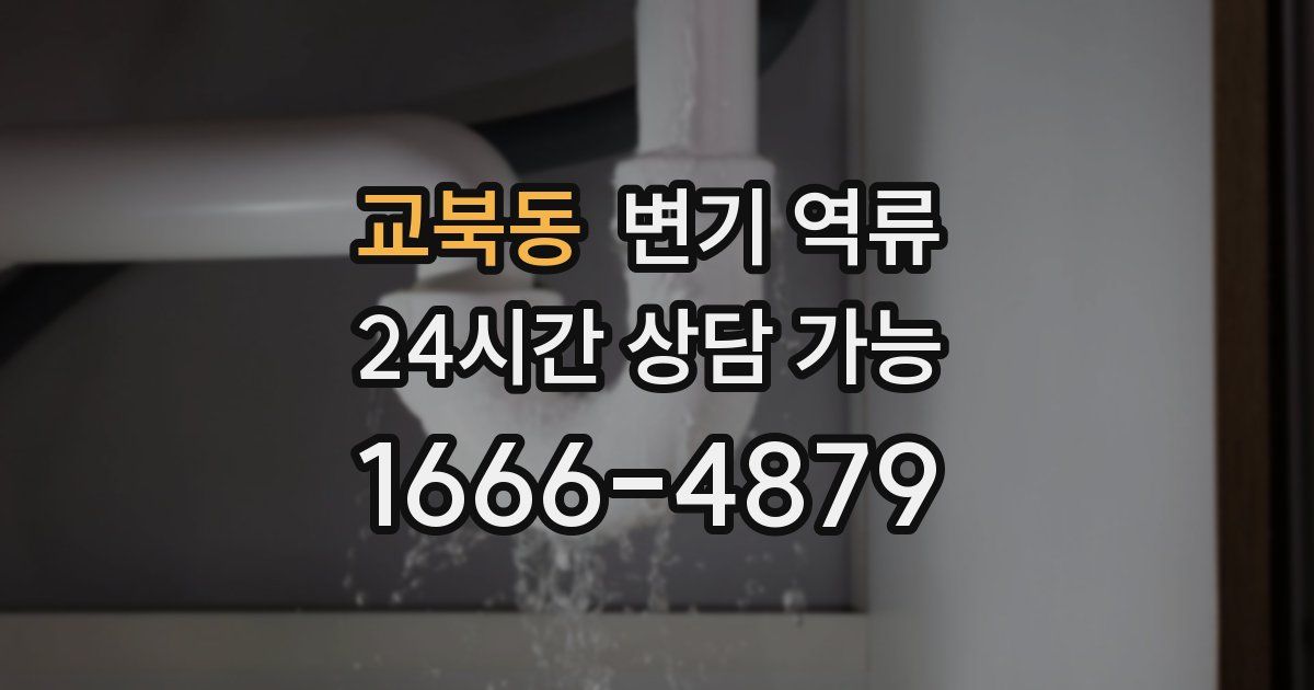 교북동 변기 역류