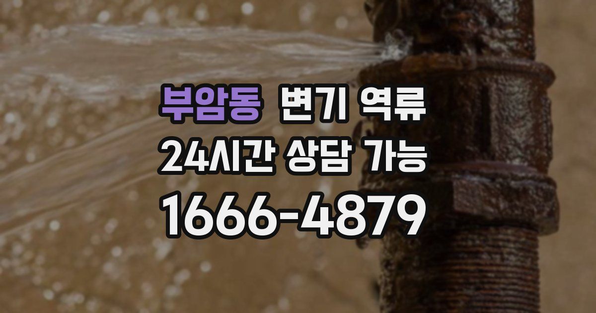 부암동 변기 역류