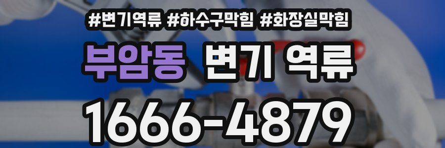 부암동 변기 역류