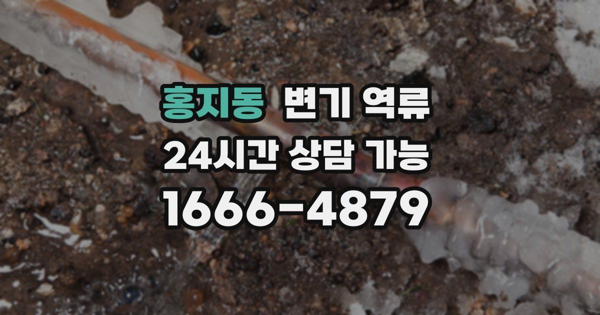 홍지동 변기 역류