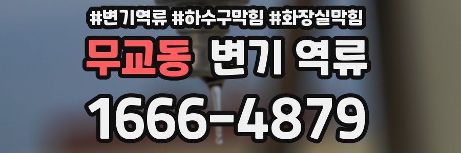 무교동 변기 역류