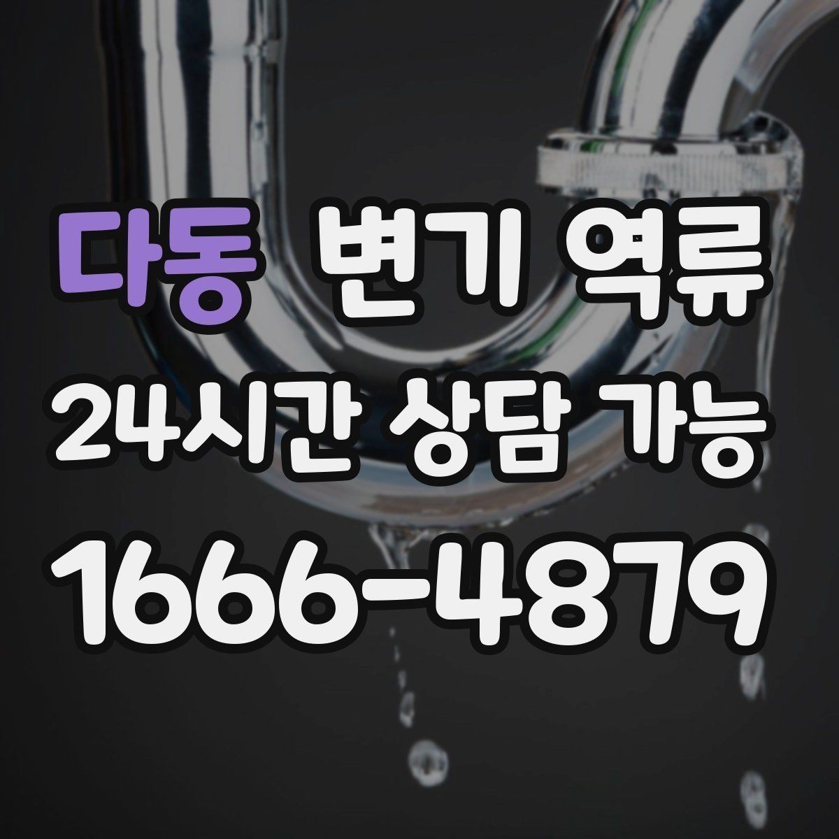 다동 변기 역류 바닥 건조가 늦어지면 곰팡이가 생기는 이유