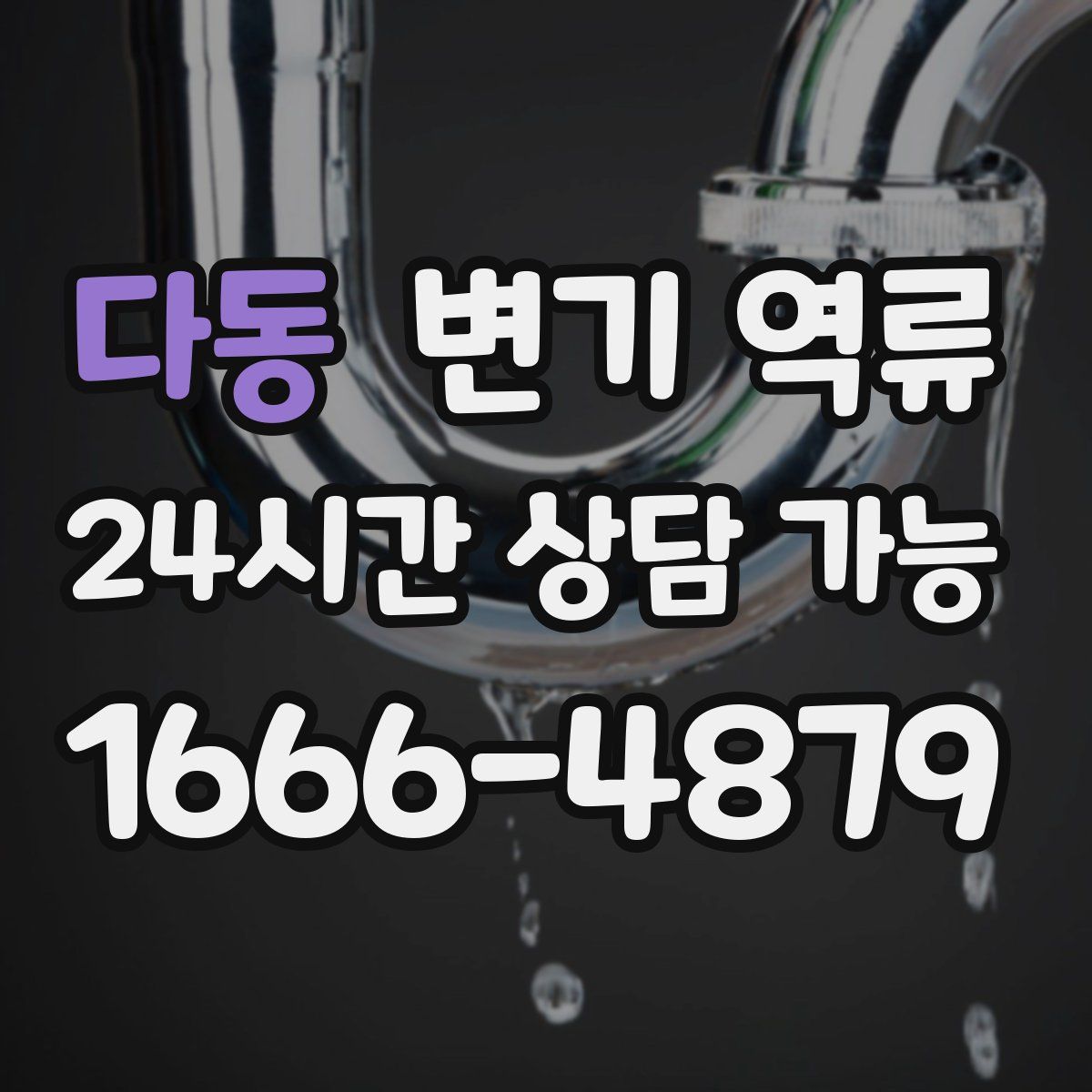 다동 변기 역류