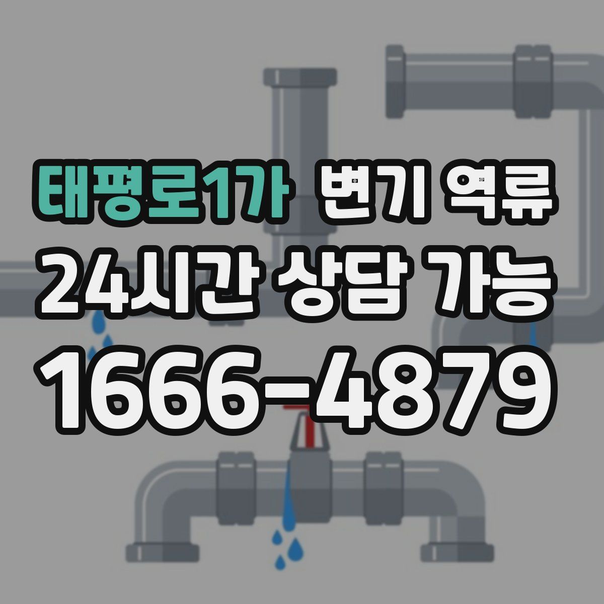 태평로1가 변기 역류