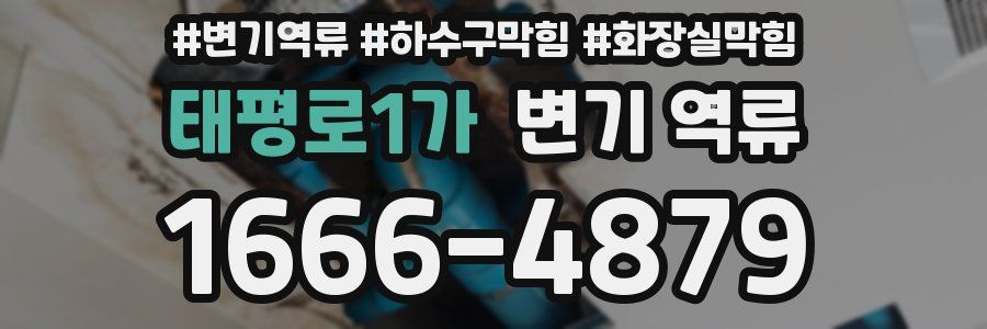 태평로1가 변기 역류