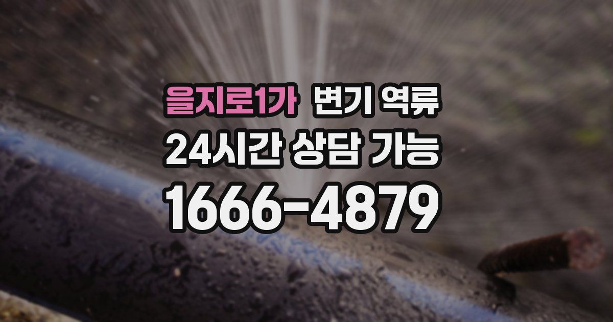 을지로1가 변기 역류