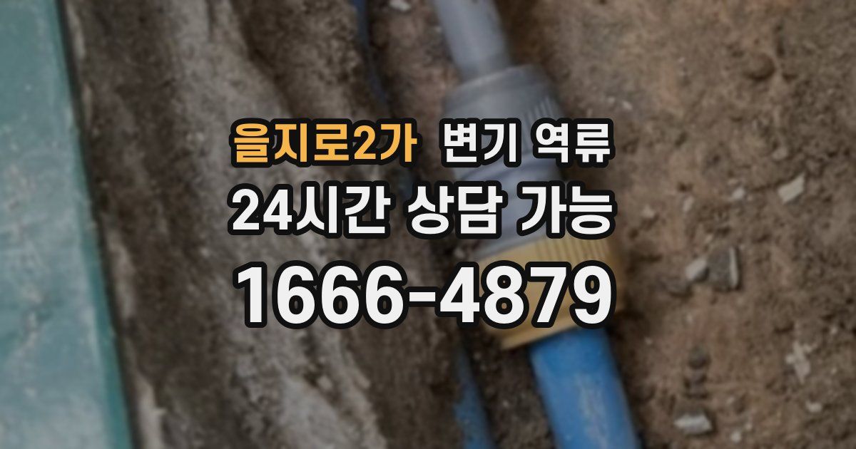 을지로2가 변기 역류