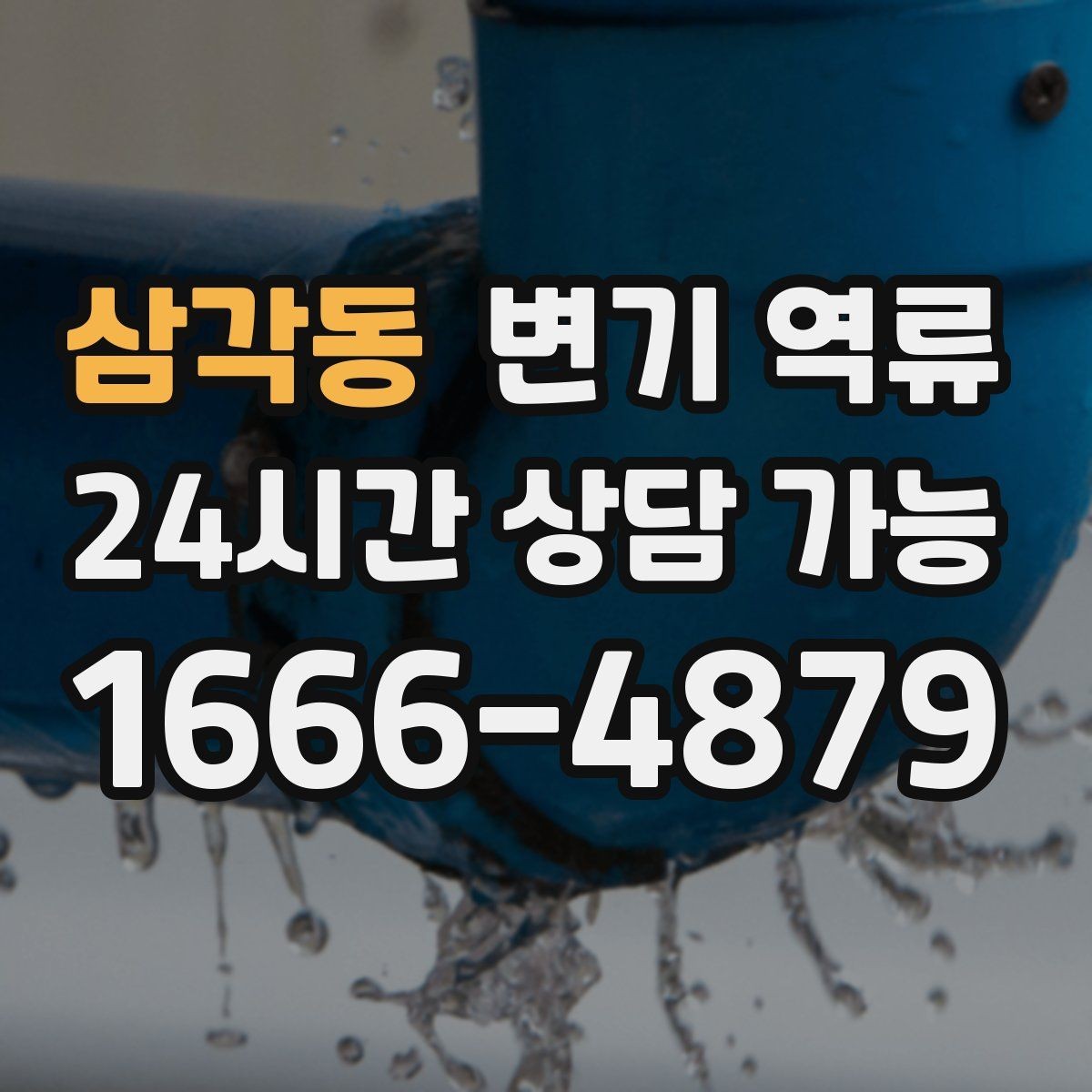 삼각동 변기 역류 공용 수직관 문제일 때 나타나는 징후