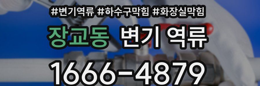 장교동 변기 역류