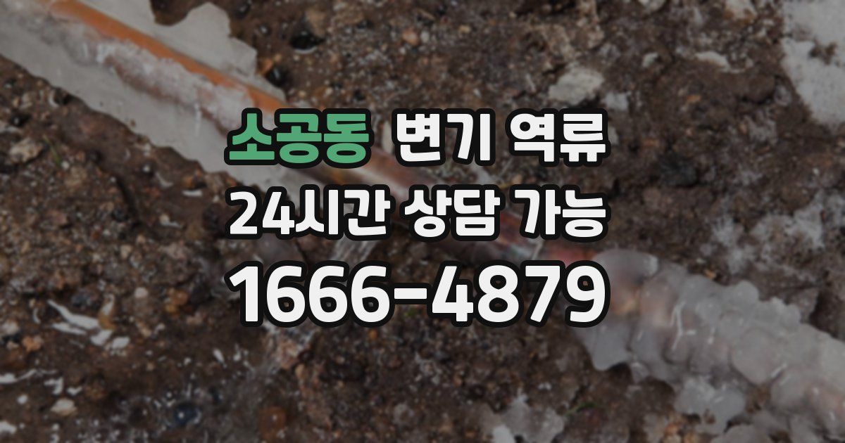 소공동 변기 역류