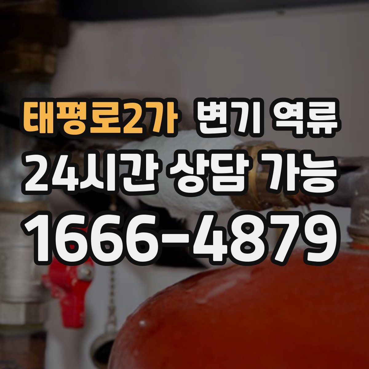 태평로2가 변기 역류