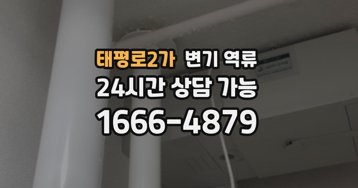 태평로2가 변기 역류