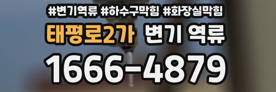 태평로2가 변기 역류