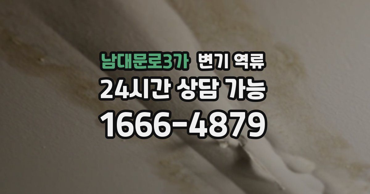 남대문로3가 변기 역류