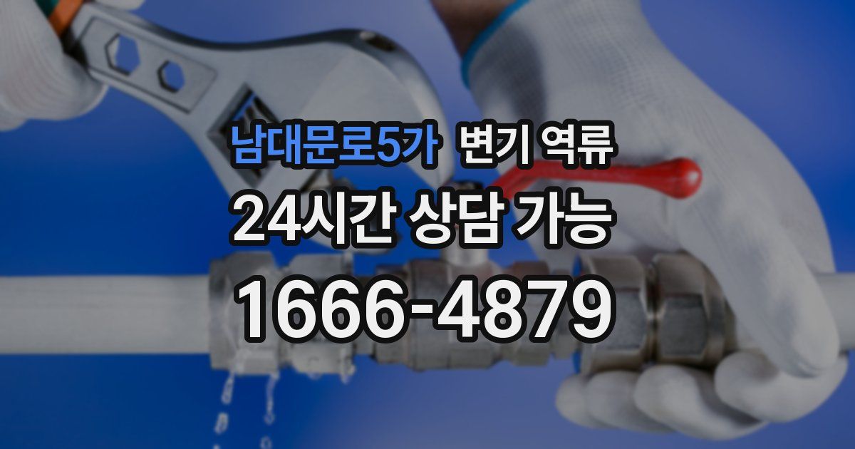 남대문로5가 변기 역류