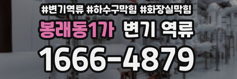 봉래동1가 변기 역류