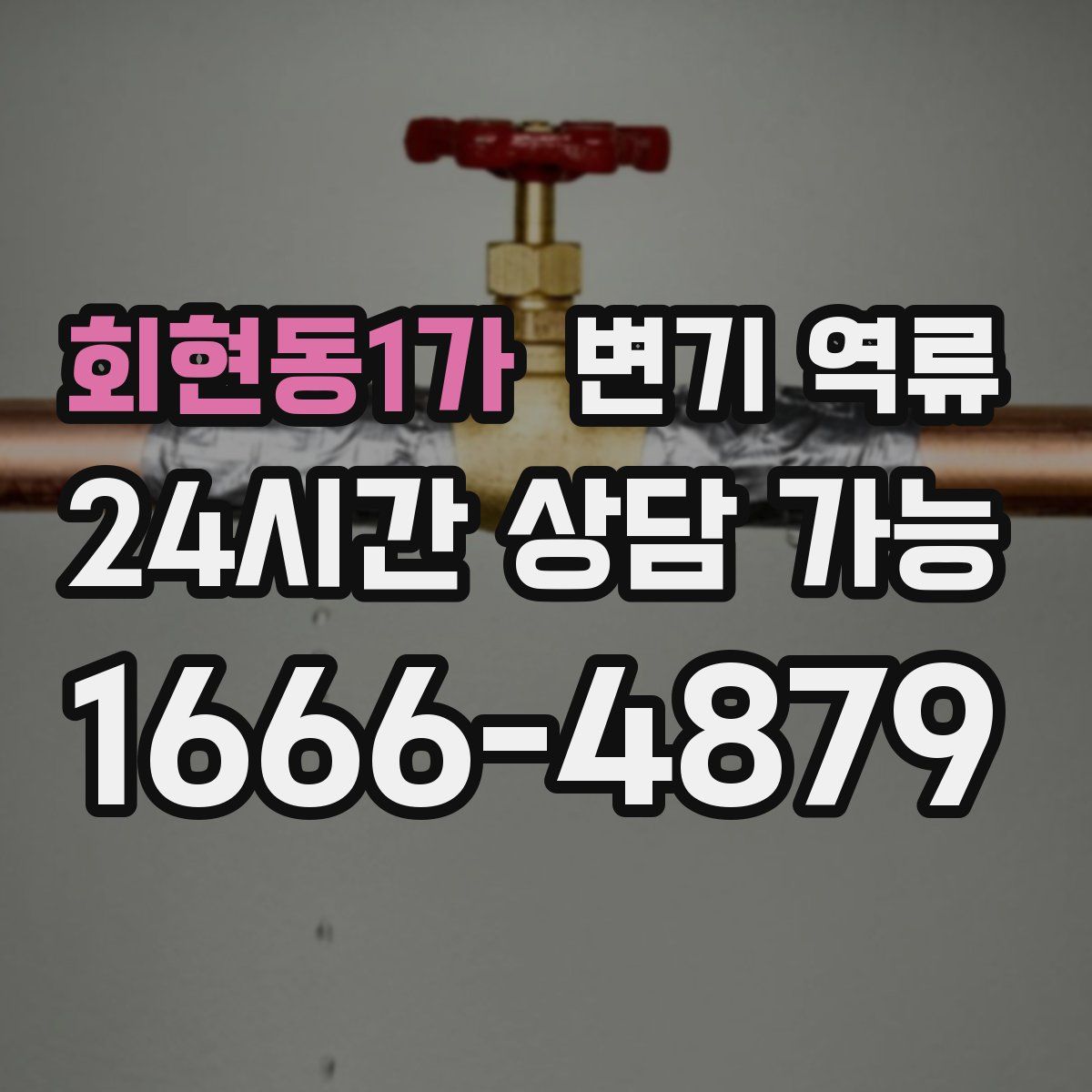 회현동1가 변기 역류