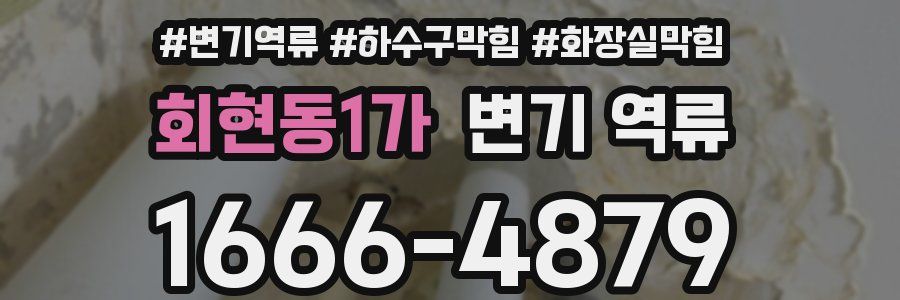 회현동1가 변기 역류