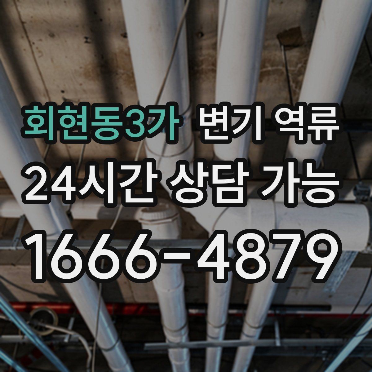 회현동3가 변기 역류 주방 싱크대 배수와 연동되는 느낌이 들 때