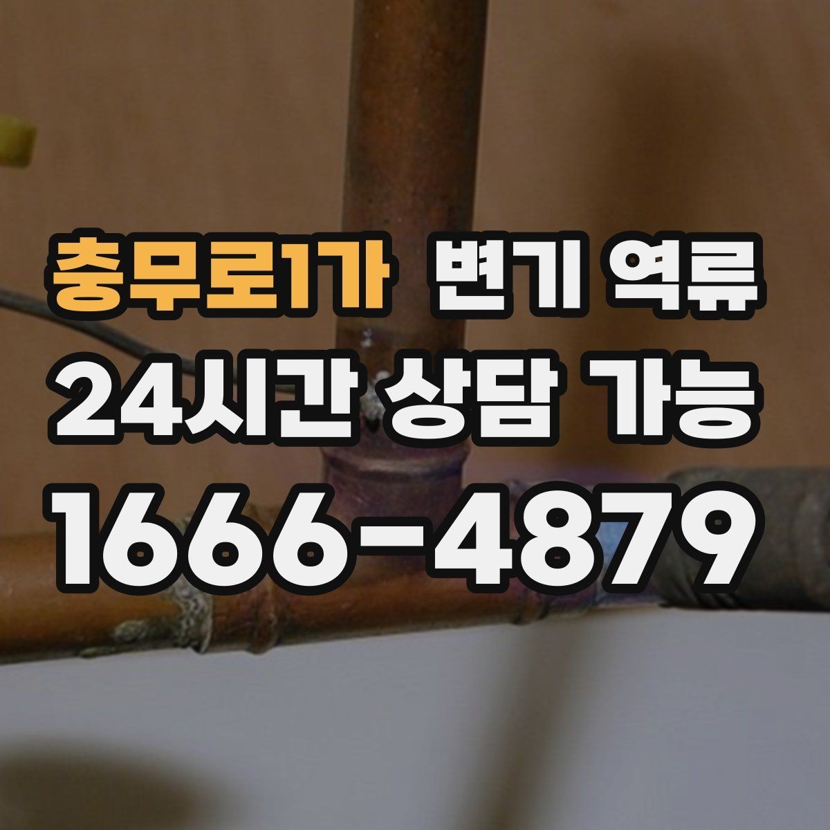 충무로1가 변기 역류 거품이 계속 생기는 상황에서 의심할 원인