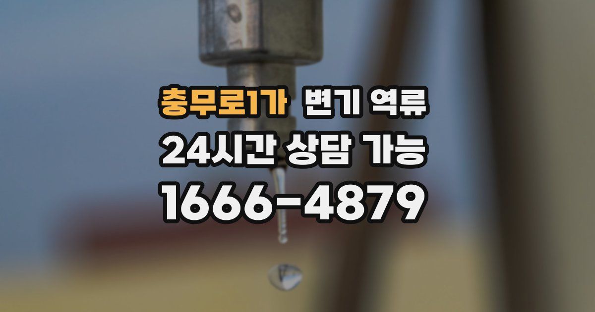 충무로1가 변기 역류