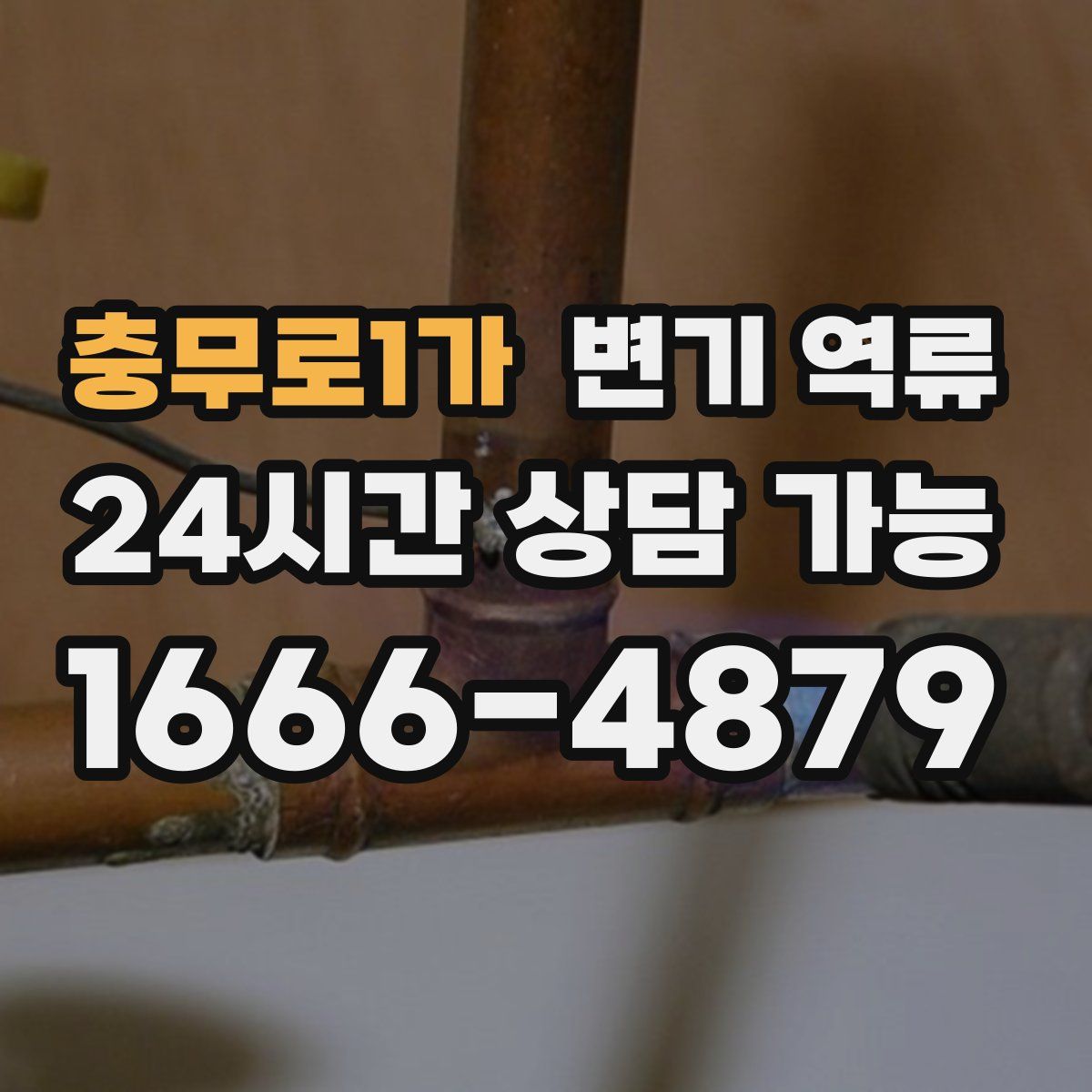 충무로1가 변기 역류