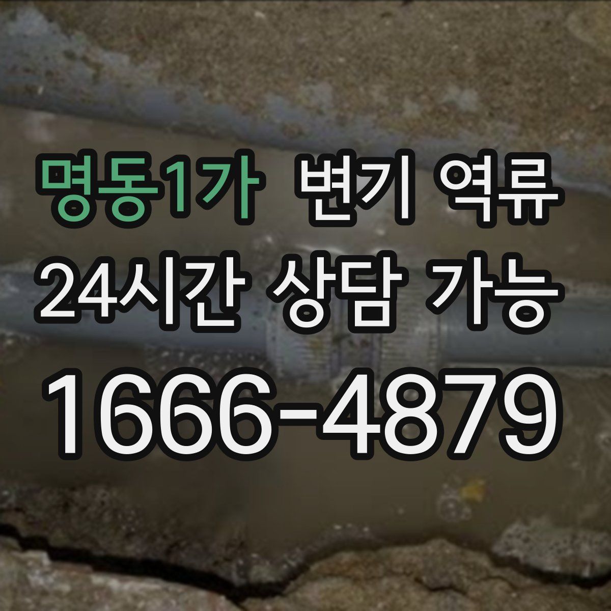 명동1가 변기 역류