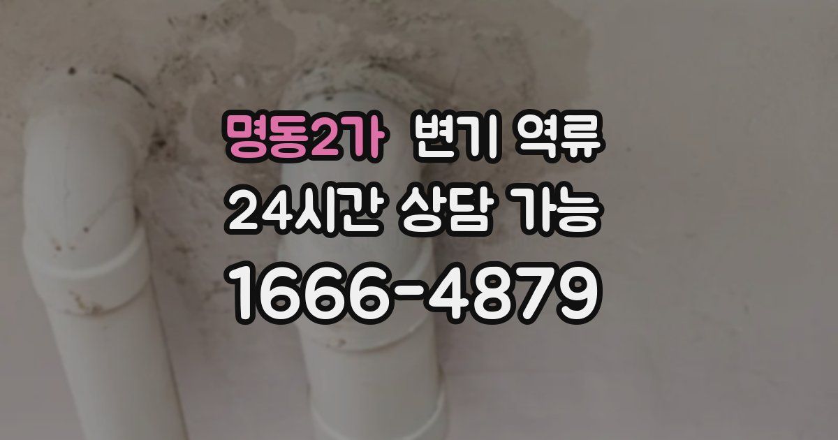 명동2가 변기 역류