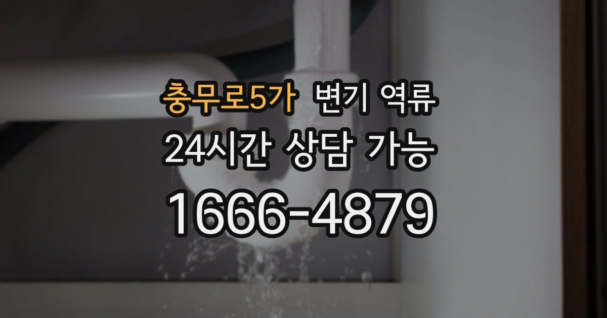 충무로5가 변기 역류