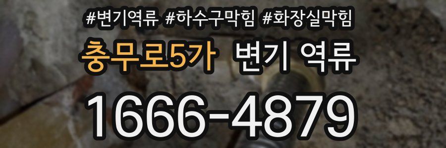 충무로5가 변기 역류