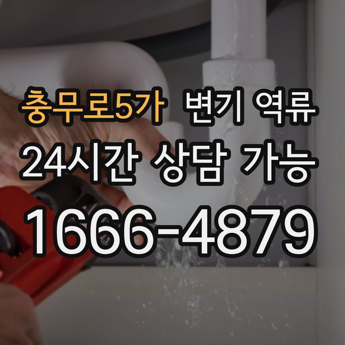 충무로5가 변기 역류