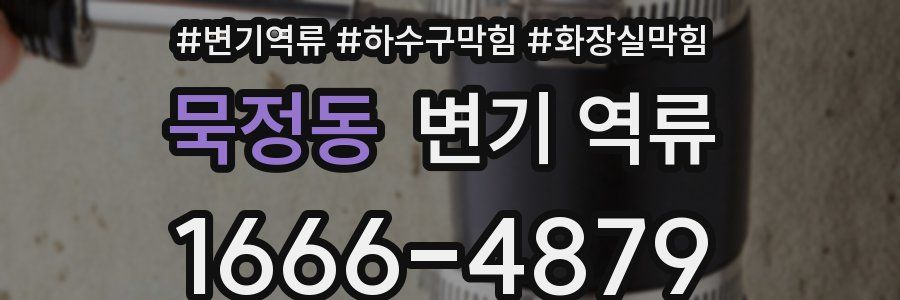 묵정동 변기 역류