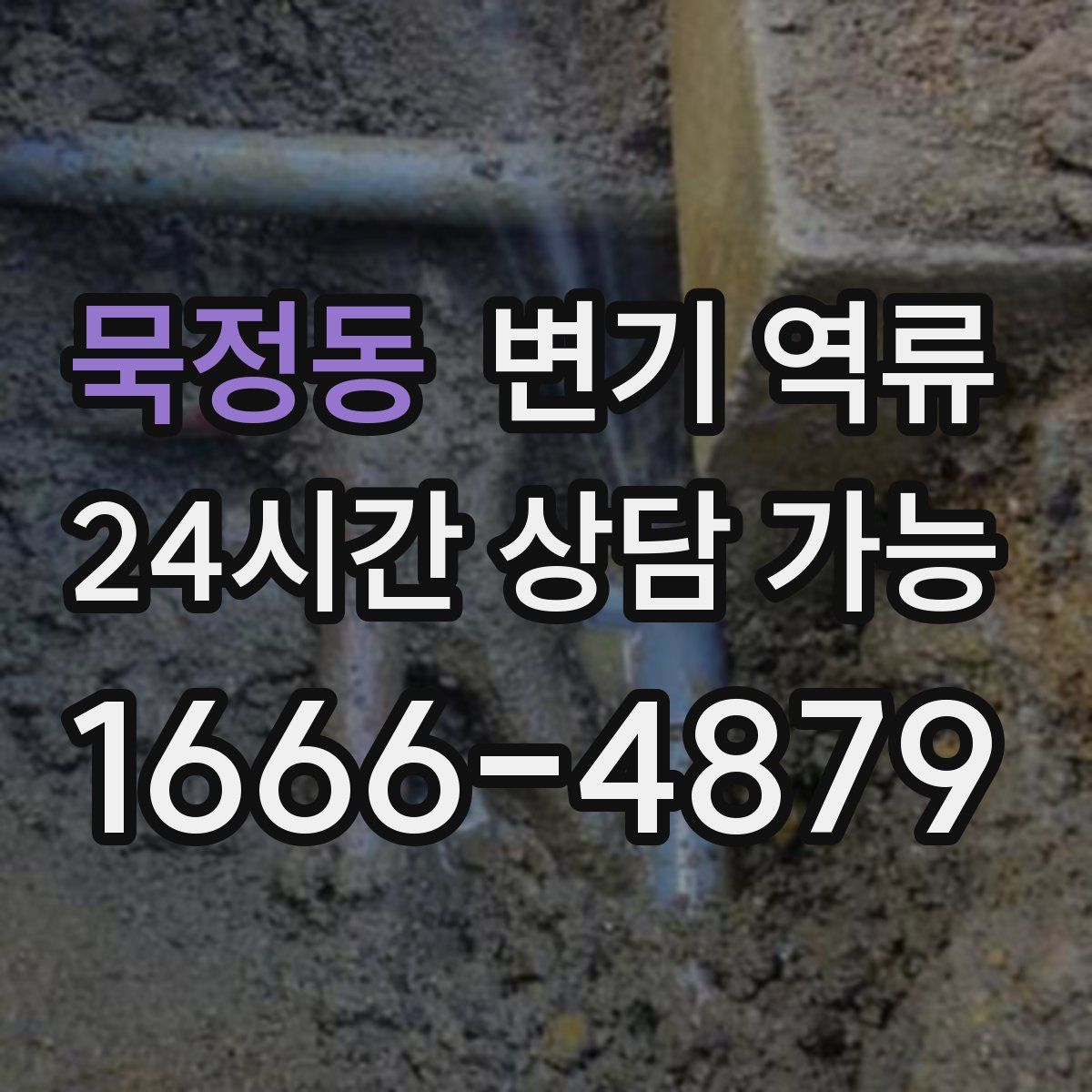 묵정동 변기 역류